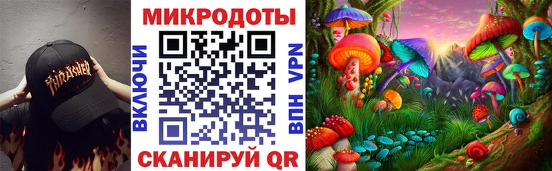 купить  цена  Власиха  МЕГА маркетплейс  Псилоцибиновые грибы Psilocybine cubensis 